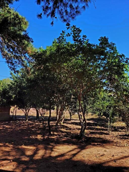 Autentica Casa Da Vo Holiday home *